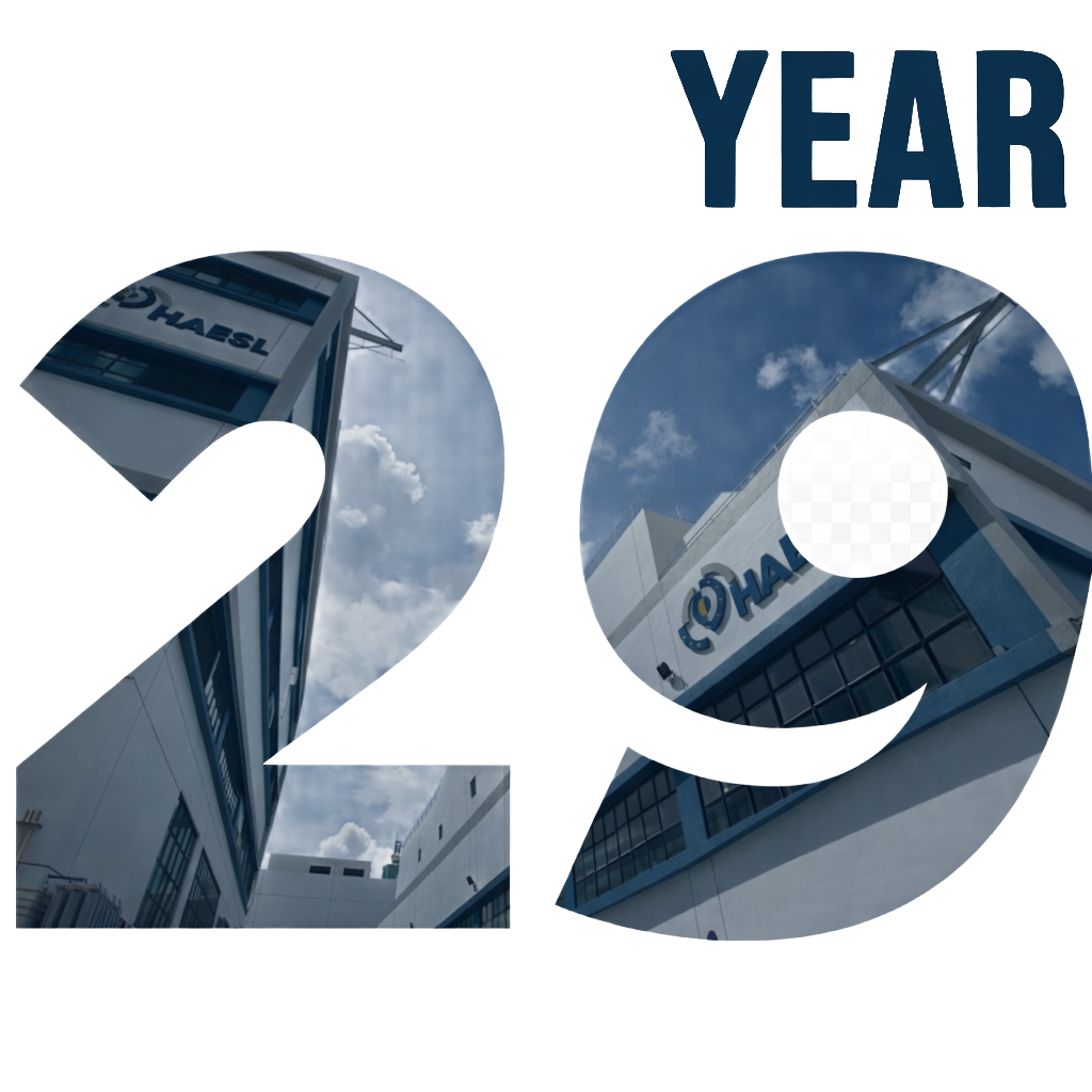 Make a YEAR 29 using the same style as the 1st att (1)